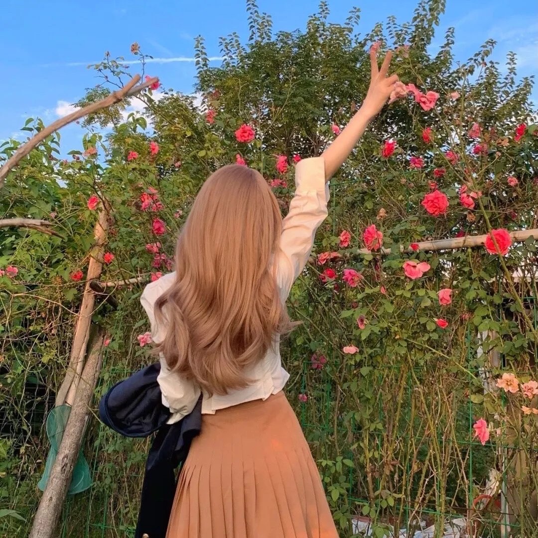 麦里斯德与黑宝马